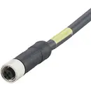 ifm Electronic E12430 Câble de raccordement M12 femelle, droit 2 m Nombre de pôles: 4 1 pc(s) Piece