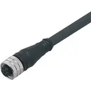 ifm Electronic E11855 Câble de raccordement M12 femelle, droit 10 m Nombre de pôles: 8 1 pc(s)