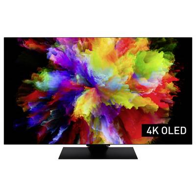 Un écran de téléviseur affiche un motif abstrait vivant et coloré. Inscription « 4K OLED » dans le coin inférieur droit.