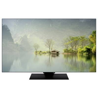 Un téléviseur affiche une rive de lac paisible avec des arbres et une petite cabane, entourée de collines verdoyantes sous un ciel brumeux.