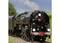 Une ancienne locomotive à vapeur sur une voie ferrée, entourée de végétation verdoyante, sous un ciel clair. La locomotive est vert foncé et noire.