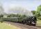 Une locomotive à vapeur tractant des wagons verts traverse un paysage verdoyant. Le ciel est légèrement nuageux.