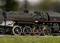 Une locomotive miniature détaillée sur des rails, entourée de verdure floue à l'avant et à l'arrière-plan. Passion pour la technique.