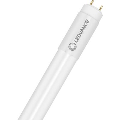 Lampe LED blanche en forme de tube avec deux broches métalliques à l'extrémité, portant l'inscription de marque 'LEDVANCE' sur le côté.