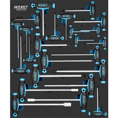 Ensemble de clés à douilles HAZET 163D-5/24 avec poignée en T, 24 pièces, rangé dans un support en mousse, adapté aux travaux de vissage.