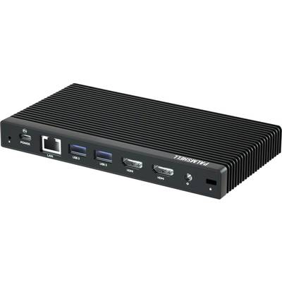 Mini-PC compact avec connexions : LAN, deux ports USB, deux ports HDMI et port d'alimentation. Le capot de l'appareil porte l'inscription 'PANTHER'.