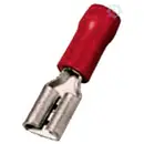 Intercable 180853 Cosse clip Largeur d'accouplement: 6.30 mm Épaisseur de contact: 0.80 mm partiellement isolé rouge 1 p