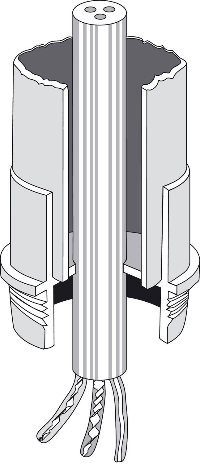 Coupe transversale d'un presse-étoupe avec écrou hexagonal, joint et filetage, traversé par trois câbles.