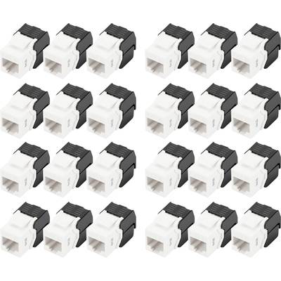 Plusieurs modules Keystone RJ45 disposés côte à côte. Chaque module dispose d'une zone de connexion blanche et d'un clip noir.