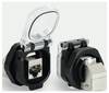 Lütze 493079 Prise encastrée RJ45 femelle, coudé Nombre de pôles: 8 1 pc(s)