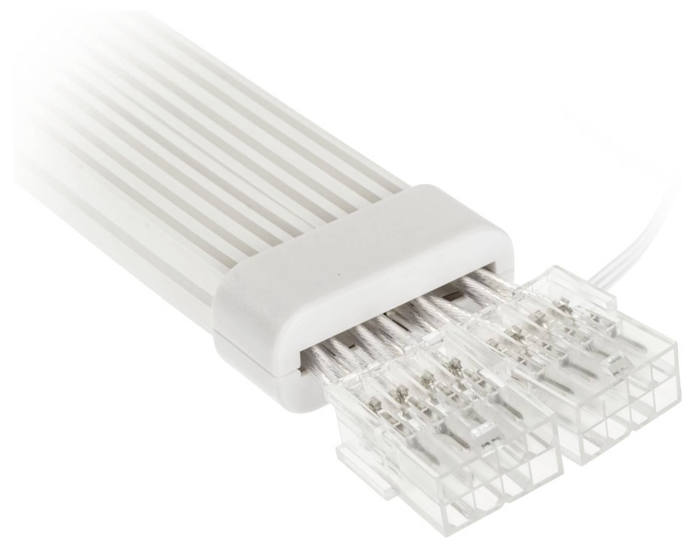 Câble plat multiconducteur avec deux fiches transparentes, reliées à un boîtier en plastique blanc.