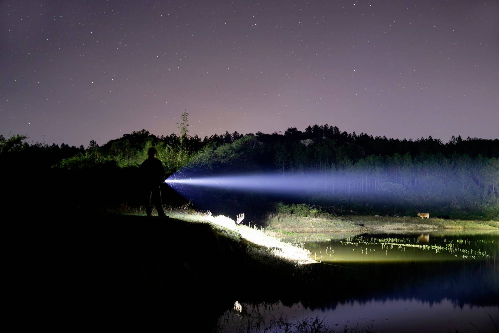 Une personne se tient au bord du lac la nuit et dirige la lumière d'une lampe de poche sur l'eau. Le ciel est parsemé d'étoiles.