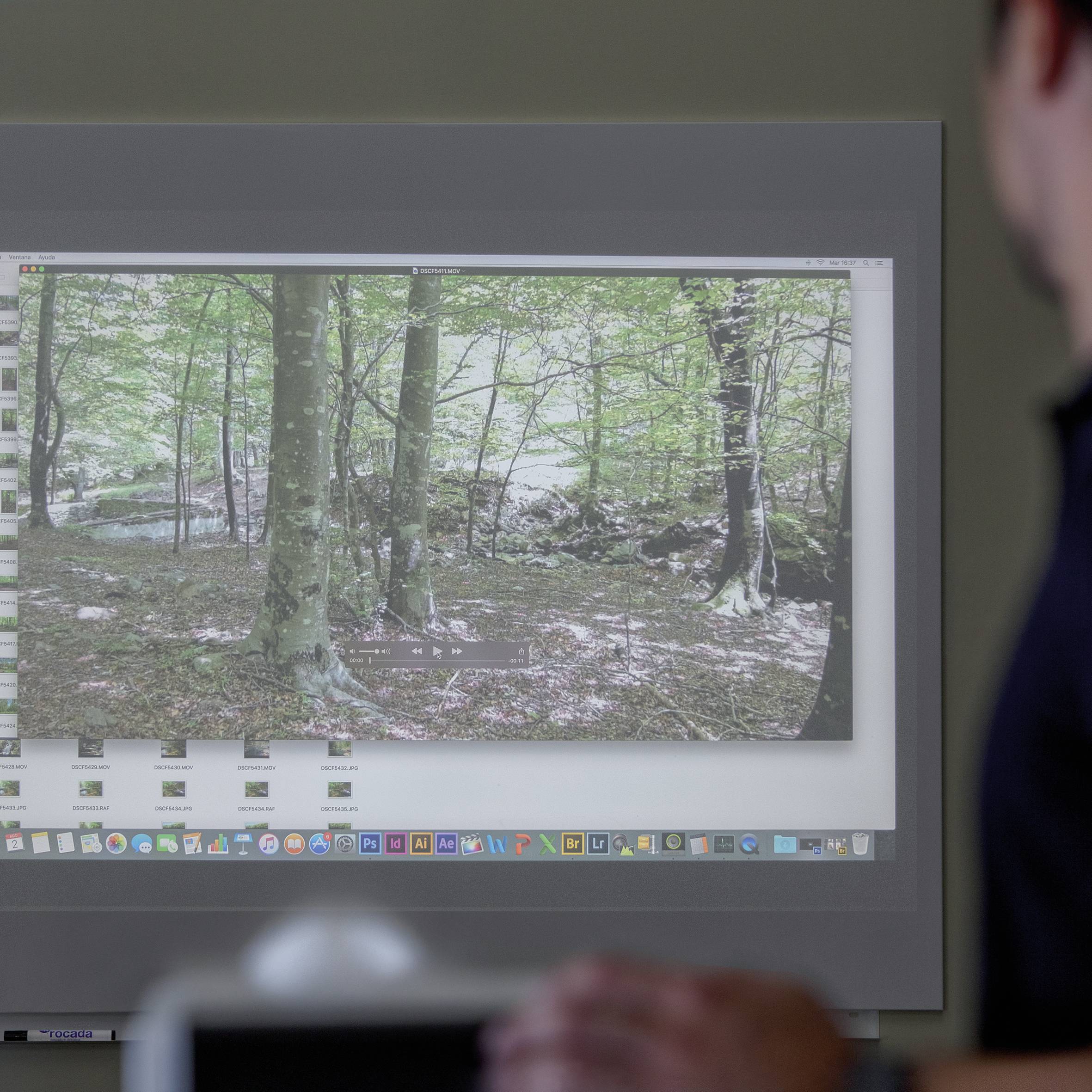 Un écran affiche une photo d'arbres dans une forêt. Au premier plan, une personne est visible de manière floue.