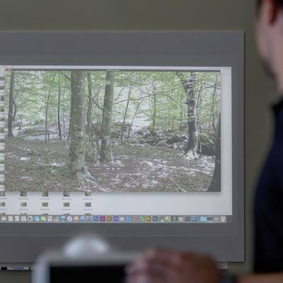 Un écran affiche une photo d'arbres dans une forêt. Au premier plan, une personne est visible de manière floue.