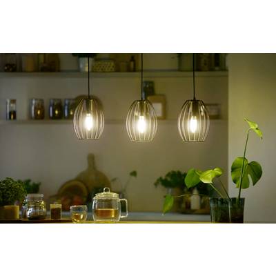 Trois lampes suspendues brillent au-dessus d'un comptoir de cuisine. En dessous, des plantes et de la vaisselle. Un arrière-plan avec des étagères de cuisine floues.