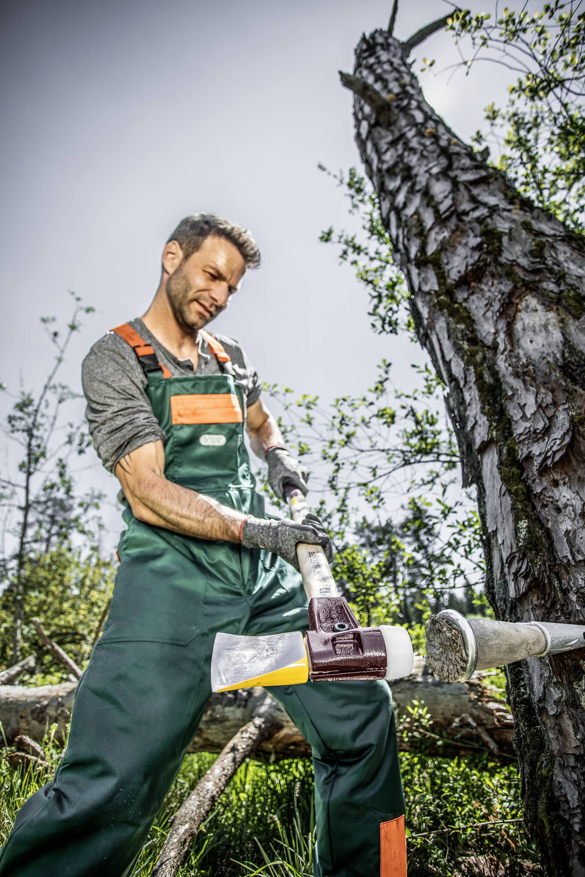 Un homme en vêtements de travail abat un arbre avec une hache dans une forêt. Le ciel est dégagé, et autour de lui gisent déjà des arbres abattus.