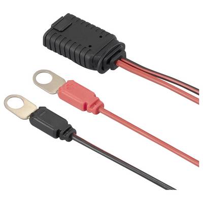 Un câble électrique avec deux connecteurs et des cosses à œillet aux extrémités, adapté pour les connexions de batterie ou les chargeurs.
