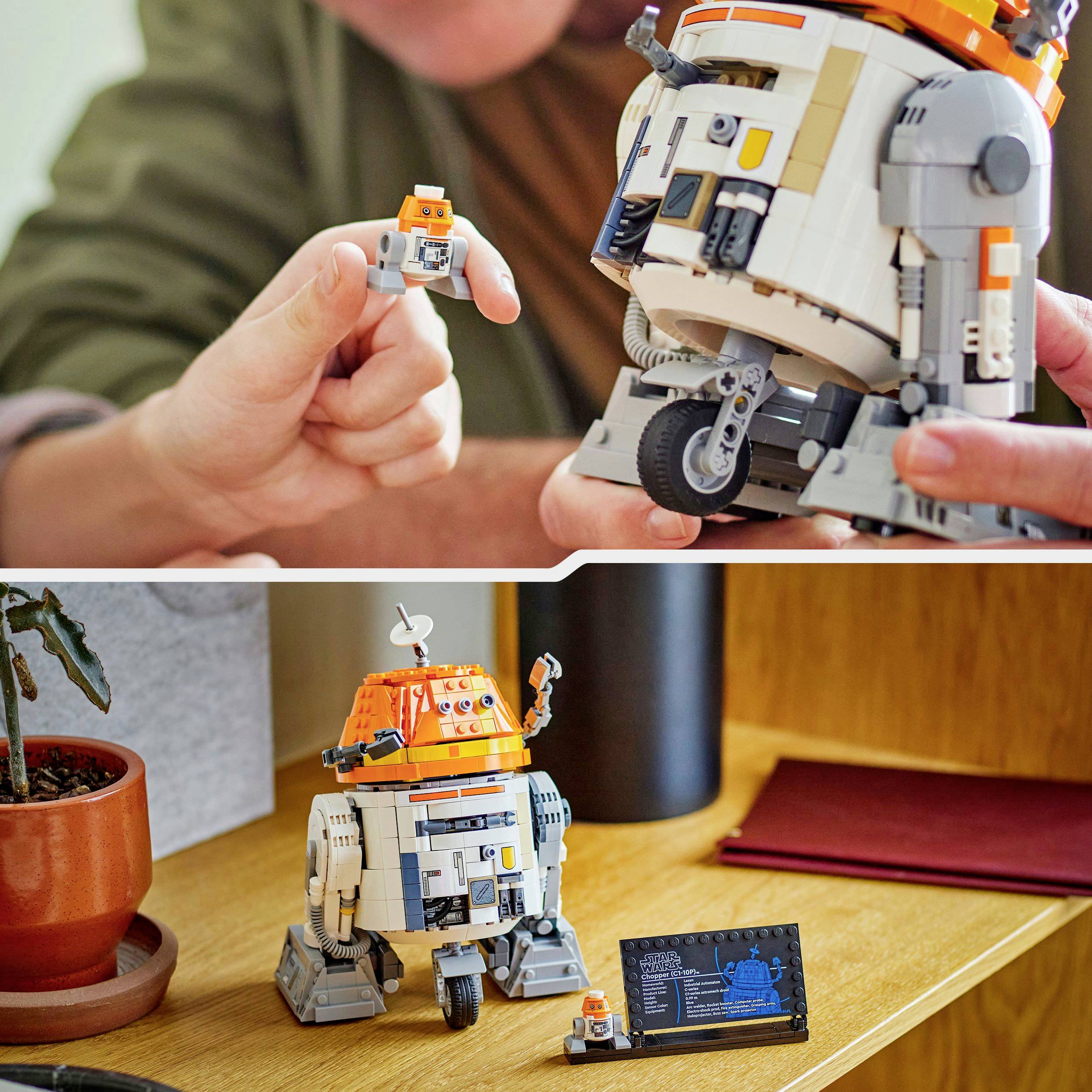 Une personne tient un petit modèle de robot LEGO. Devant elle, sur une table, se trouve un modèle LEGO plus grand et plus détaillé du même robot.