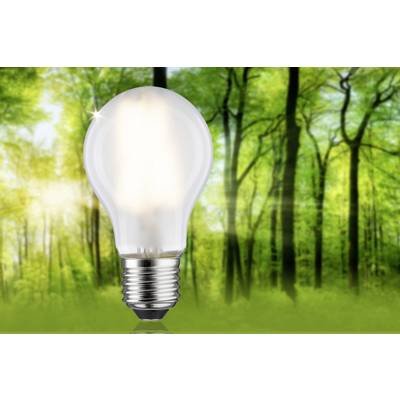 Une ampoule se dresse devant une forêt. Symbolise le lien entre la technologie et la nature.