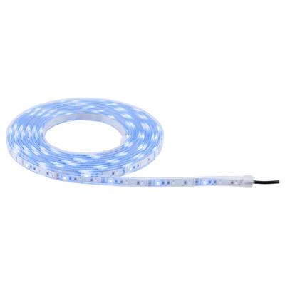 Une bande LED enroulée, émettant une lumière bleue, avec une extrémité de câble d'alimentation visible sur le côté droit.