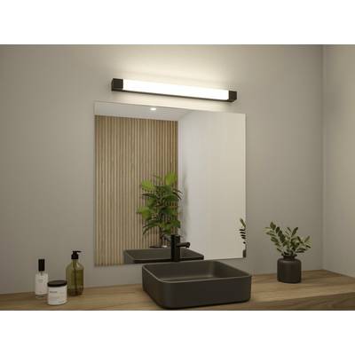 Plan de toilette moderne avec un miroir rectangulaire, un robinet noir et un lavabo ; à côté, des produits de soin et des plantes.