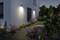 Un chemin de jardin éclairé bordé de parterres colorés longe une maison moderne. L'éclairage du soir crée une atmosphère chaleureuse et accueillante.