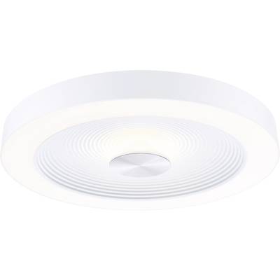 Plafonnier circulaire blanc avec surface texturée et accent métallique central ; design moderne pour intérieurs.
