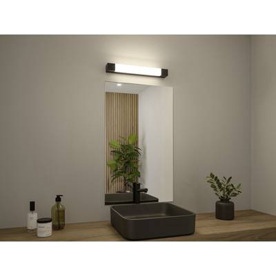 Conception moderne de salle de bain avec un miroir rectangulaire, un lavabo sombre, un éclairage élégant et des plantes sur une console en bois.