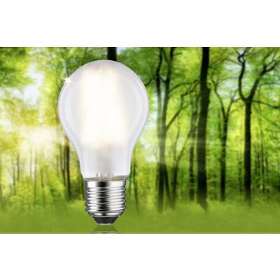 Une ampoule lumineuse se détache au premier plan d'une forêt, symbolisant l'énergie durable dans un environnement naturel.