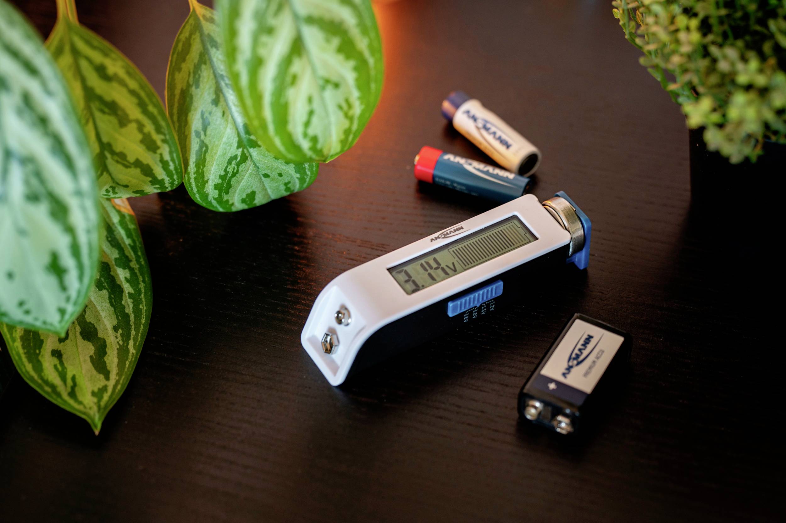 Un thermomètre numérique est posé sur une table à côté de feuilles de plantes et de batteries. Il affiche une température de 19,4 degrés Celsius.