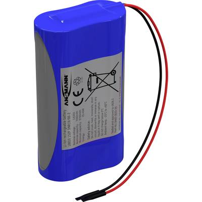Batterie lithium-ion rechargeable bleue avec des graphiques et des avertissements sur la face avant, deux câbles de sortie.