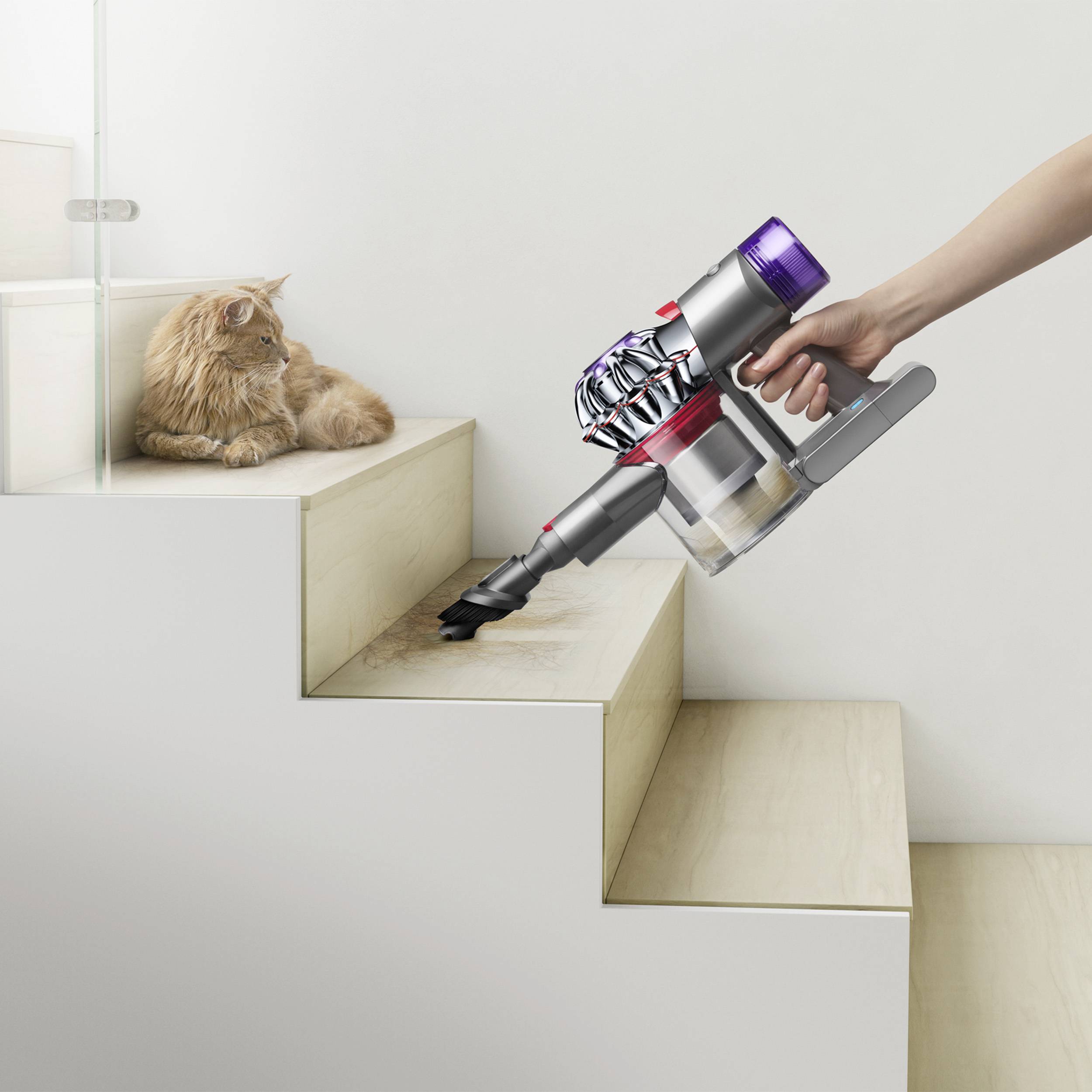 Un aspirateur sans fil est utilisé pour nettoyer un escalier. Un chat est assis sur une marche et observe l'opération.