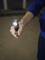 Une personne tient une lampe de poche allumée dans sa main, projetant sa lumière vers l'avant. L'environnement est sombre.