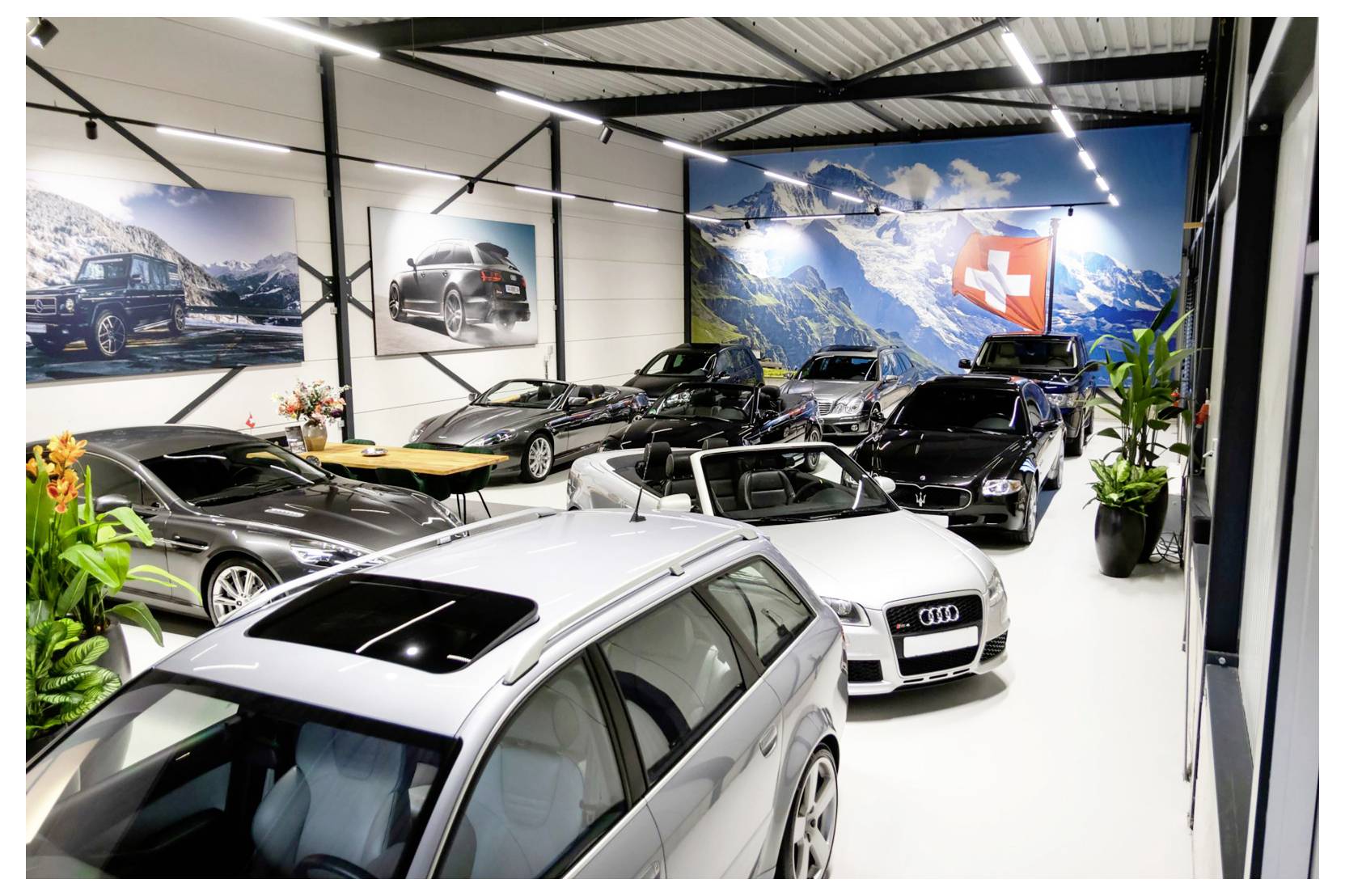 Salle d'exposition intérieure avec plusieurs voitures Audi garées en rangées, dont un cabriolet blanc au premier plan, sous des lumières vives et des graphismes muraux à thème montagneux.