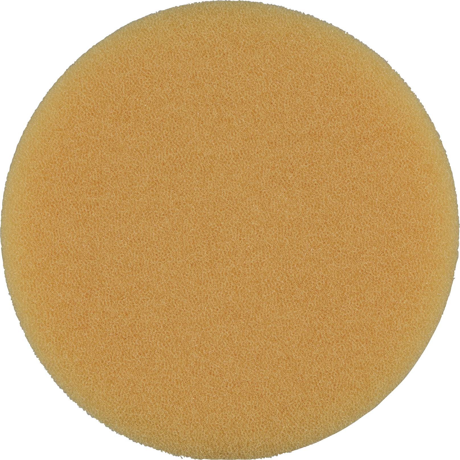 Une éponge ronde de couleur orange à texture fine, sur un fond blanc.