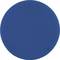 Un cercle bleu simple et rond sur un fond blanc.