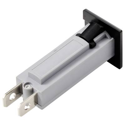 Un disjoncteur rectangulaire gris avec deux bornes métalliques et une poignée noire, probablement utilisé pour la protection électrique.