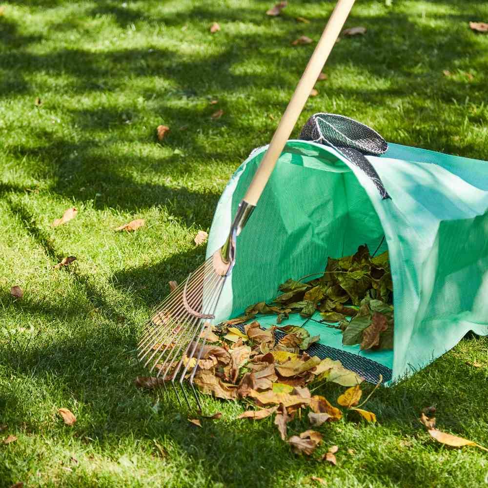 Une râteau est posée sur la pelouse, entourée de feuilles rassemblées sur une bâche verte.