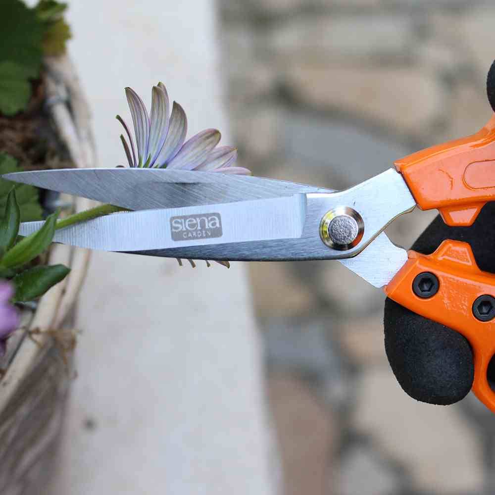 Une paire de ciseaux orange et noir coupe une tige de fleur lilas. Gros plan avec un arrière-plan flou.