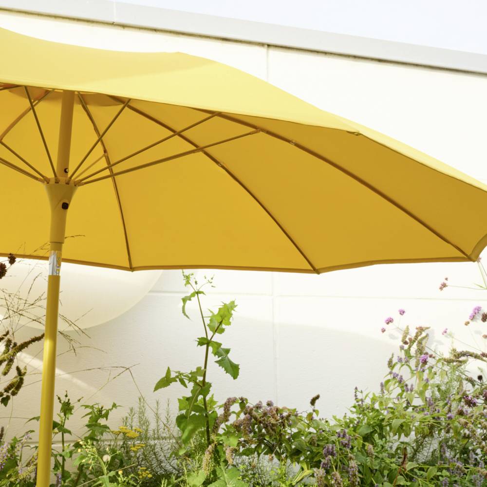 Un parasol jaune est ouvert dans un jardin, entouré de diverses plantes vertes et de fleurs mauves.