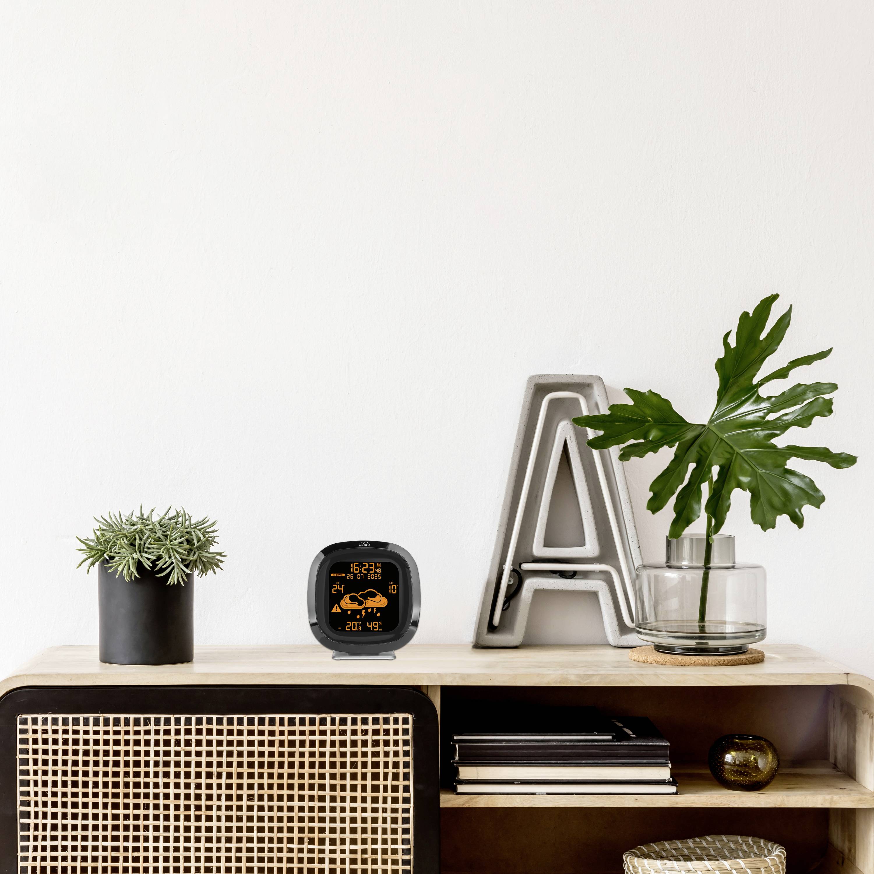Une étagère avec un arrangement de plantes, un réveil, deux décorations en lettres ('A' et 'L') et une pile de livres.