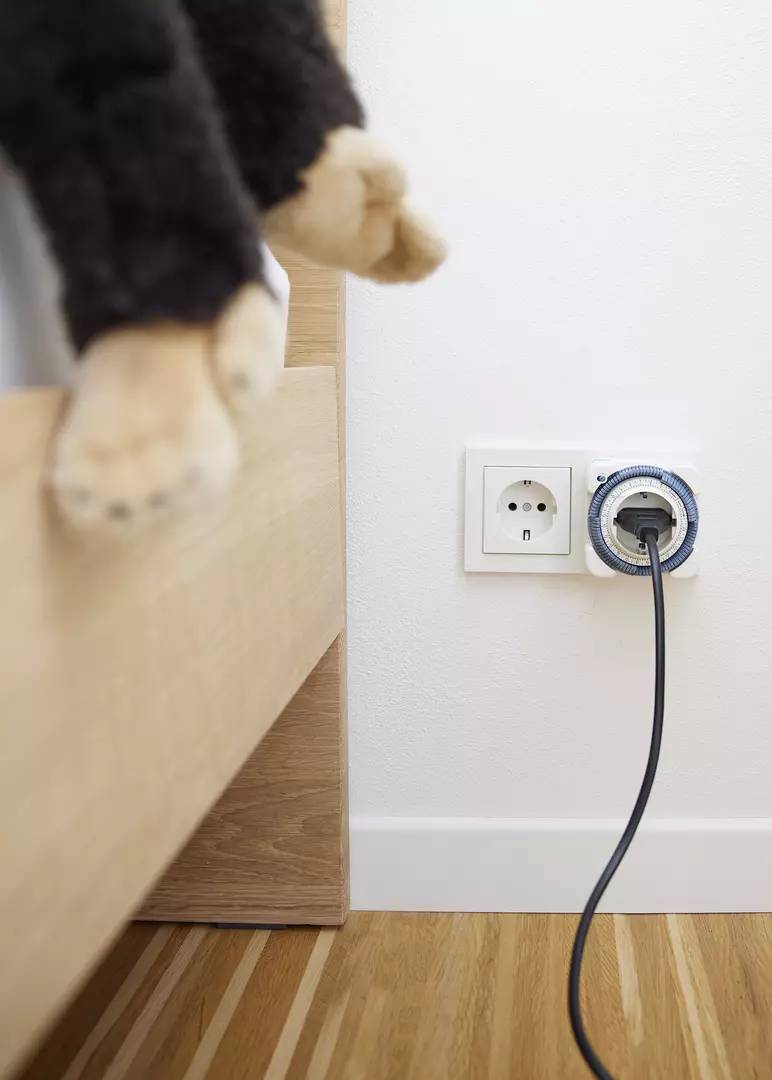 Une patte de chat à côté d'un lit, près d'une prise électrique d'où dépasse un câble noir.