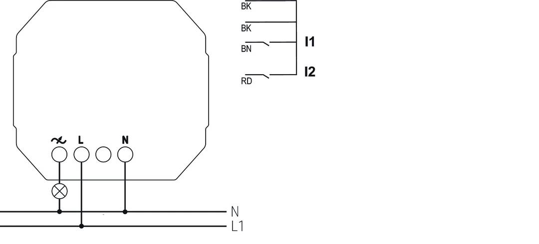 Schéma d'un tableau électrique avec deux lignes d'entrée 'I1' et 'I2'. Identification des lignes : BK, BN, RD, BD et N, L1.