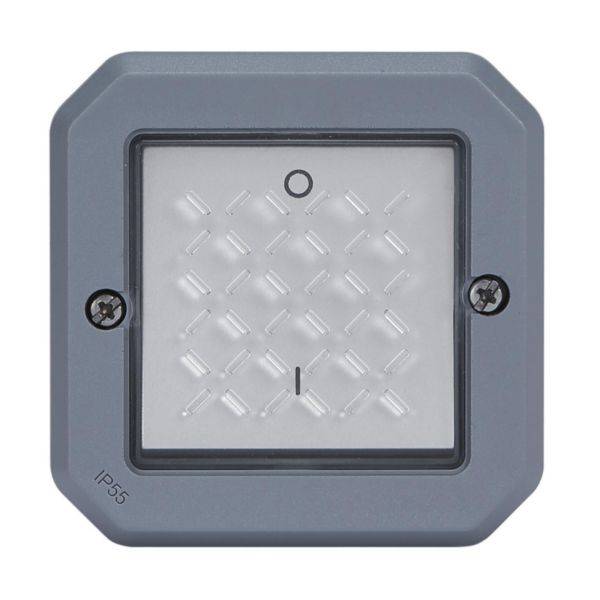 Luminaire LED carré gris à bordure, avec un panneau transparent et des vis sur les côtés. En bas à gauche, l'indication 'IP55'.