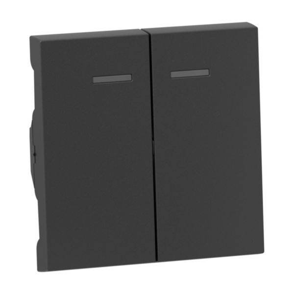 Interrupteur double noir au design minimaliste, adapté aux intérieurs modernes. Idéal pour commander deux sources lumineuses.