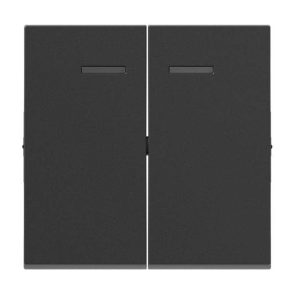 Interrupteur double avec deux touches rectangulaires dans un ton sombre. Design épuré, adapté aux espaces intérieurs modernes.