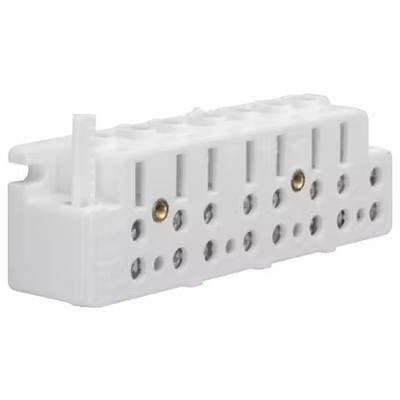 Connecteur électrique blanc avec plusieurs bornes à vis alignées. Il sert à la fixation sécurisée des conducteurs.