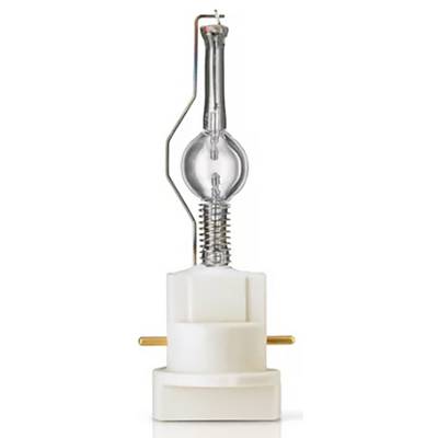 Une lampe à vapeur métallique halogène unique avec un socle cylindrique et une ampoule en verre transparent, placée verticalement.