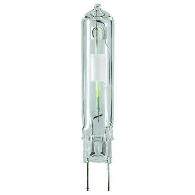 Une ampoule allongée avec un boîtier en verre transparent et deux broches métalliques à la base, adaptée pour des luminaires spéciaux.
