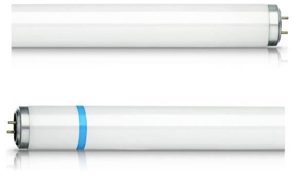 Deux tubes fluorescents blancs, l'un avec un anneau bleu, montrent des différences de design.